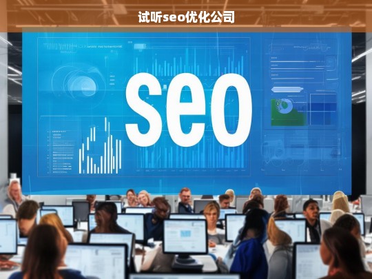 试听seo优化公司