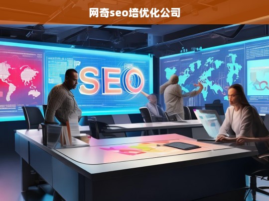 网奇seo培优化公司