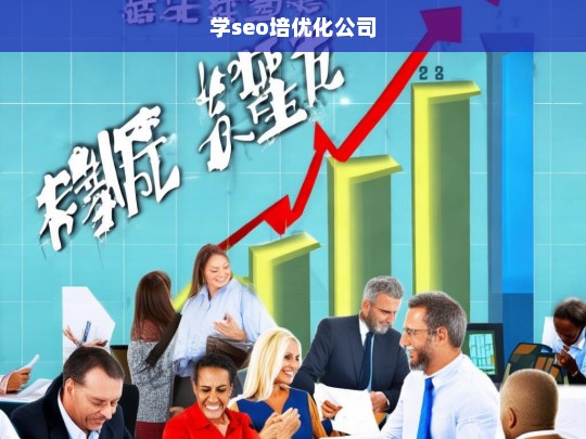 学seo培优化公司