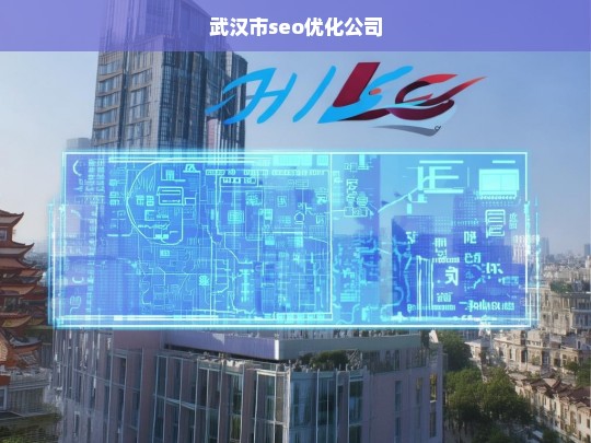 武汉市seo优化公司