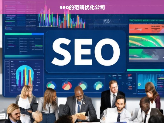 seo的范畴优化公司