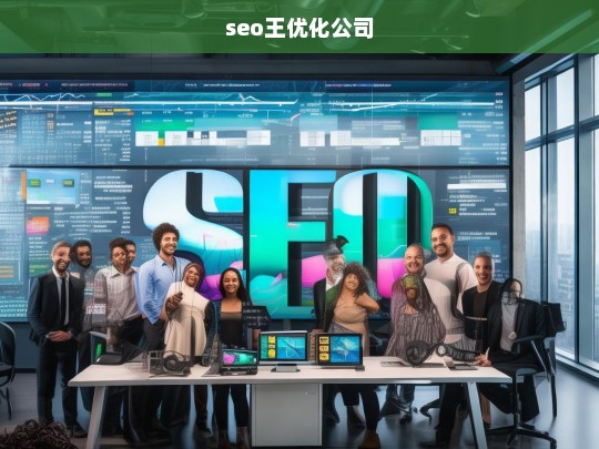 seo王优化公司