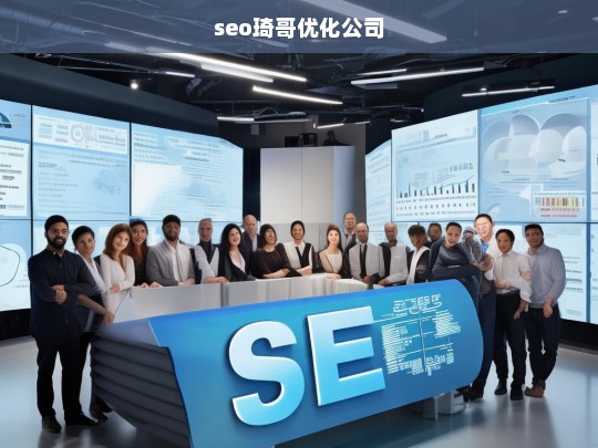 seo琦哥优化公司