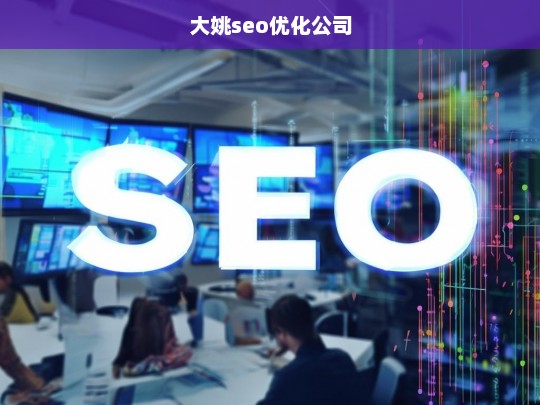 大姚seo优化公司