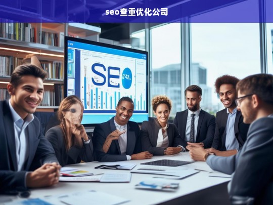 seo查重优化公司