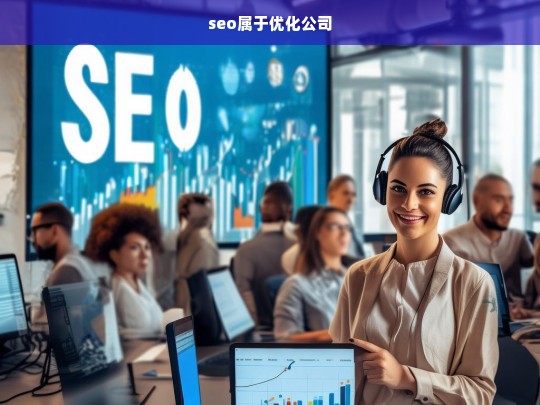 seo属于优化公司