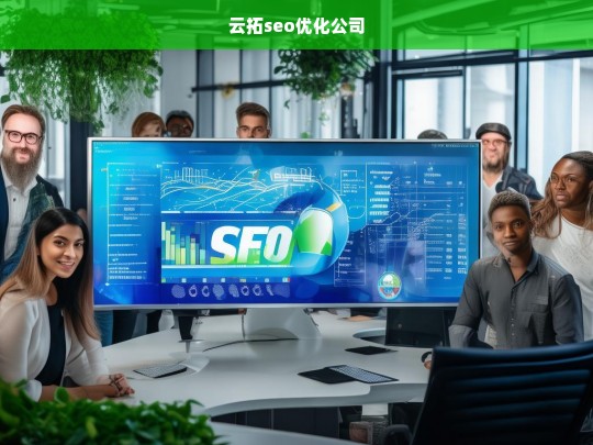 云拓seo优化公司