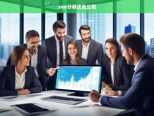 seo分析优化公司