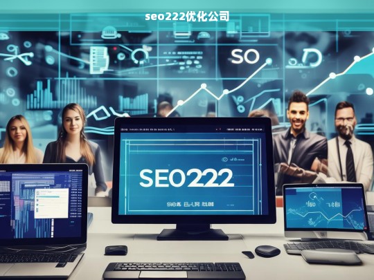 seo222优化公司