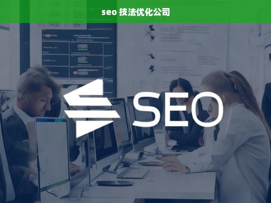 seo 技法优化公司