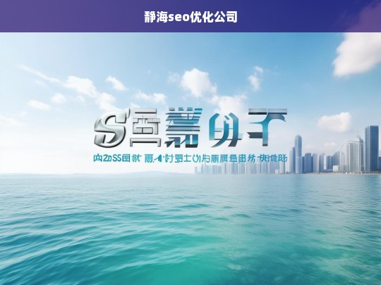 静海seo优化公司