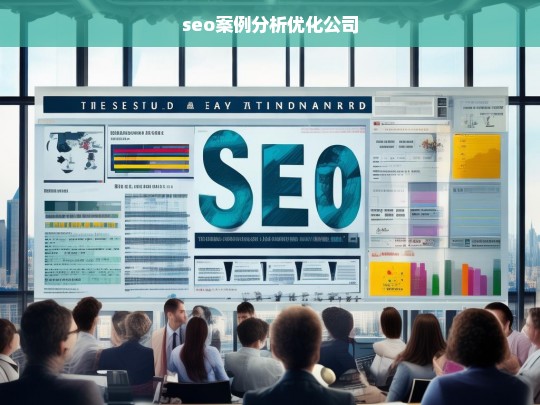 seo案例分析优化公司