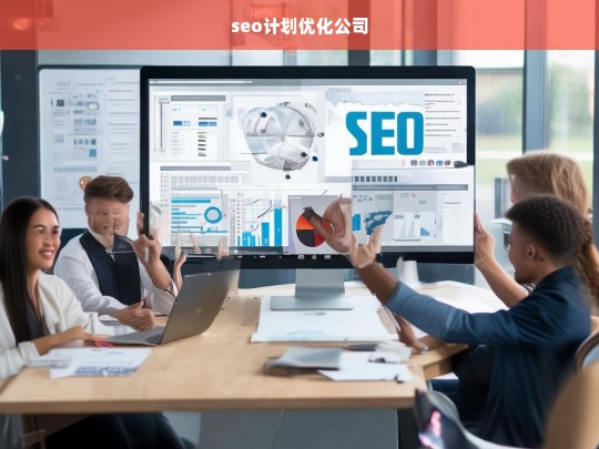 seo计划优化公司