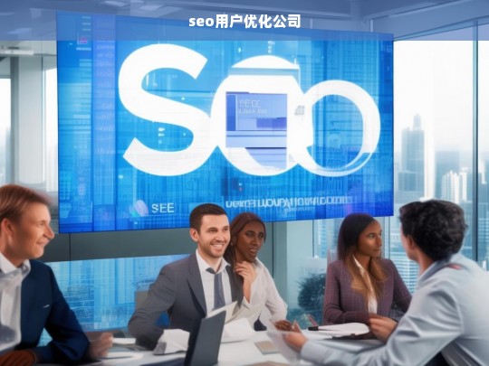 seo用户优化公司