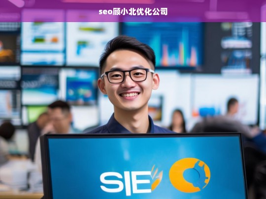 seo顾小北优化公司