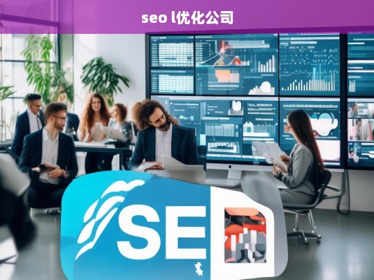 seo l优化公司