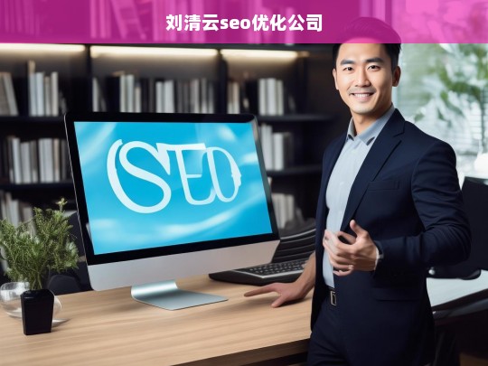 刘清云seo优化公司