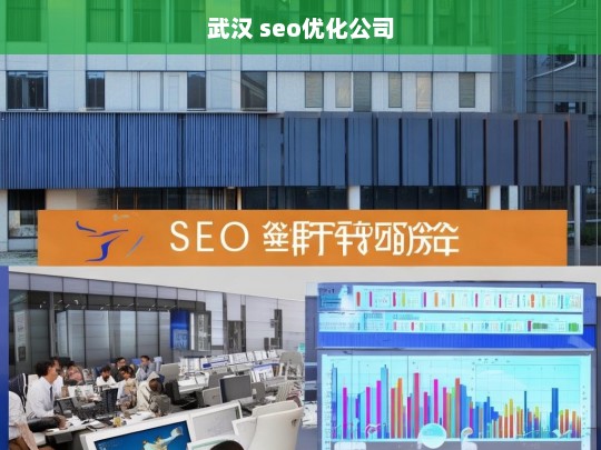 武汉 seo优化公司