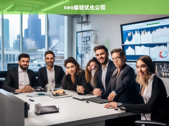 seo编辑优化公司