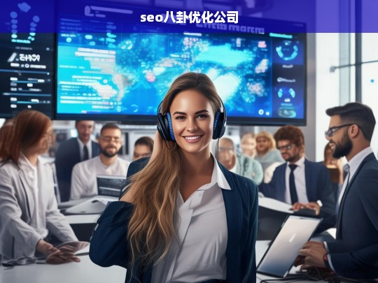 seo八卦优化公司