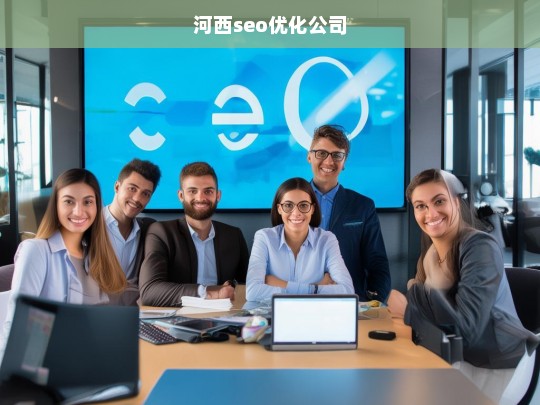 河西seo优化公司