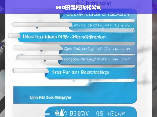 seo的流程优化公司