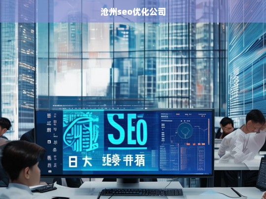 沧州seo优化公司