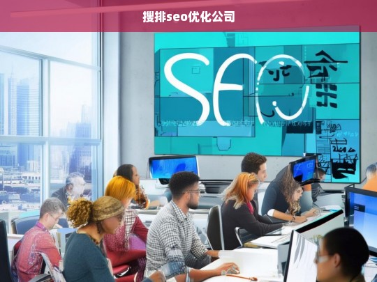 搜排seo优化公司