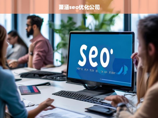 萧涵seo优化公司