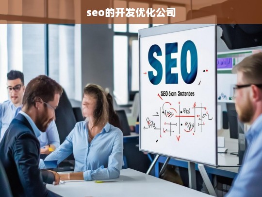 seo的开发优化公司