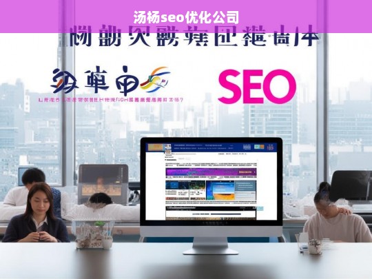 汤杨seo优化公司