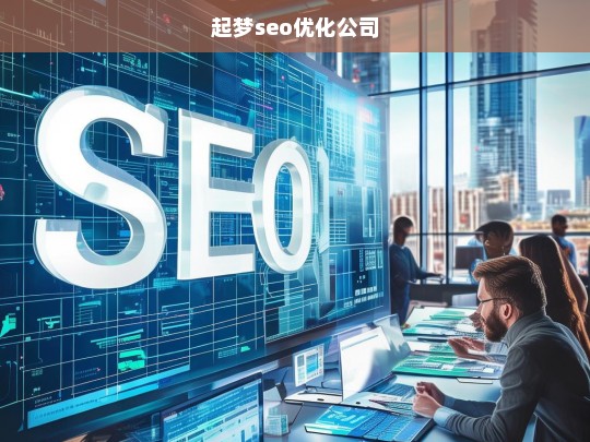 起梦seo优化公司