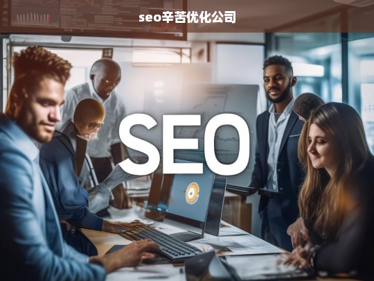 seo辛苦优化公司