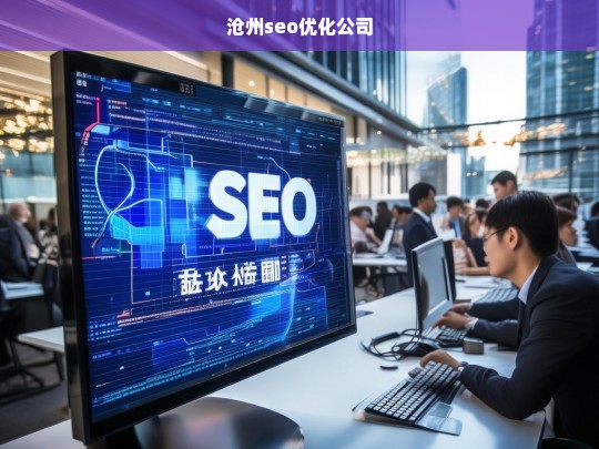 沧州seo优化公司