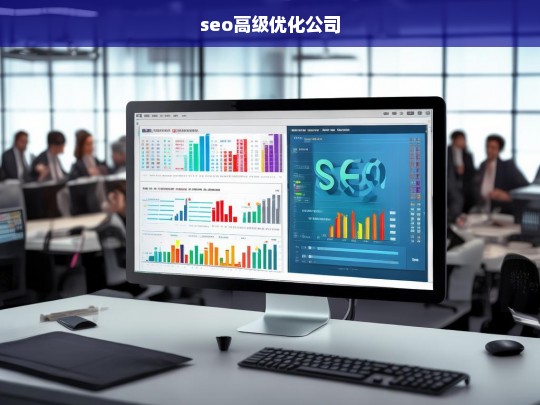 seo高级优化公司