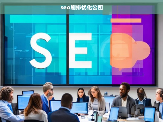 seo刷排优化公司