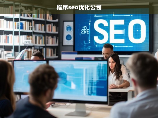 程序seo优化公司