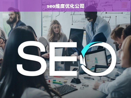 seo维度优化公司