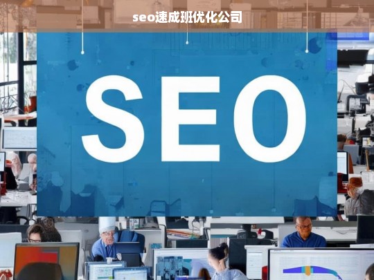 seo速成班优化公司