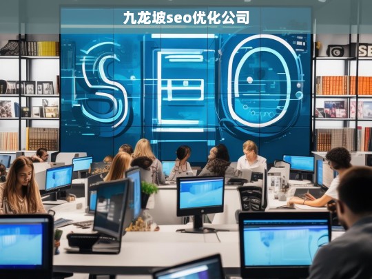 九龙坡seo优化公司