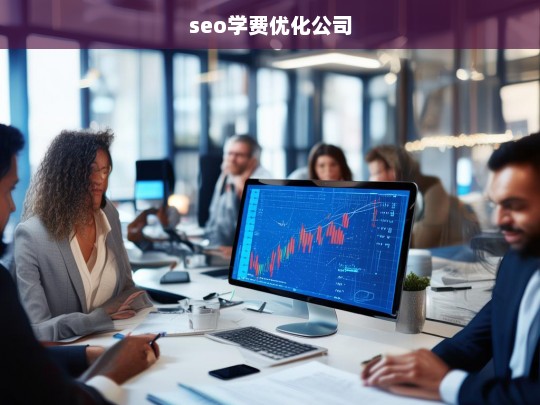 seo学费优化公司