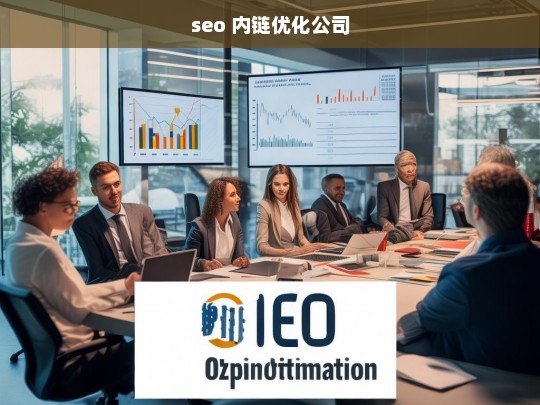 seo 内链优化公司