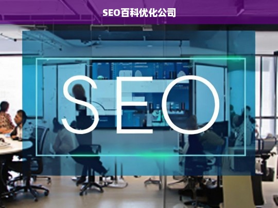 SEO百科优化公司