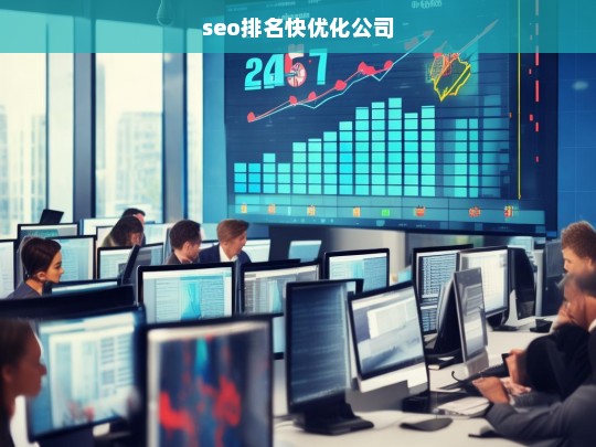 seo排名快优化公司