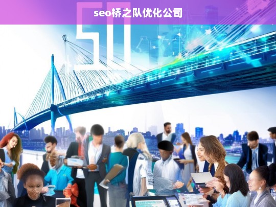 seo桥之队优化公司