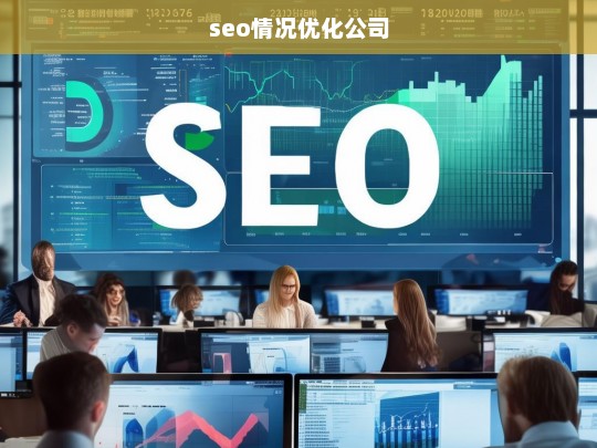 seo情况优化公司