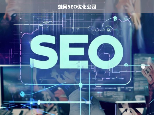 蛙网SEO优化公司