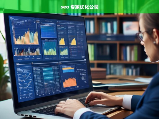 seo 专家优化公司