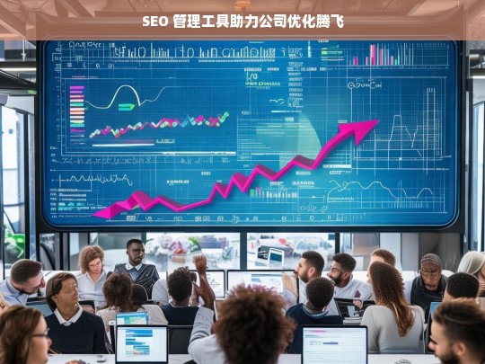 SEO 管理工具助力公司优化腾飞