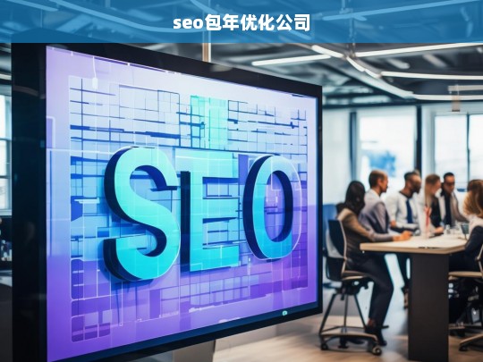 seo包年优化公司